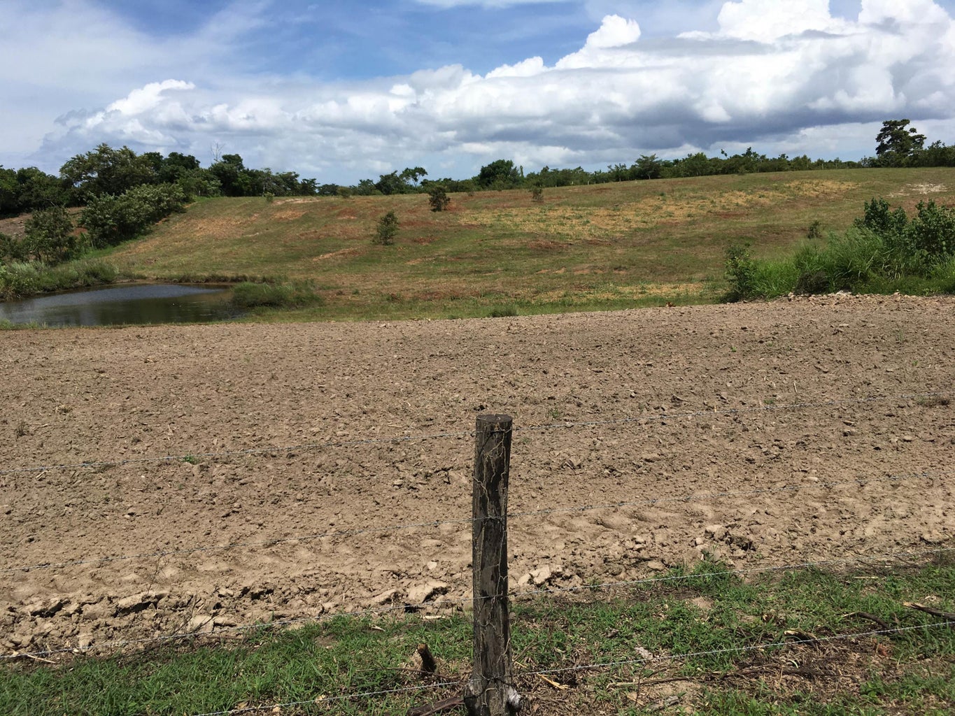 Commercial Property for Sale in SanCarlos Panamá Province 07033